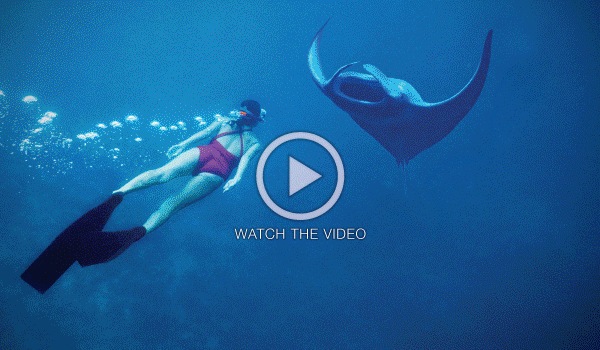 Singular experiences, only at Anantara