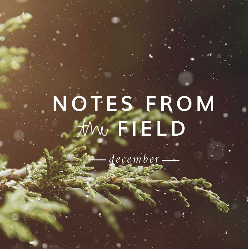 1 Hotels - Notes From the Field November